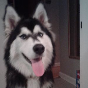 Meet your Posher, Autumn